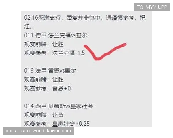 升班马防守反击策略见效 桑德兰与利兹联展现韧性 升班马防守反击策略见效 桑德兰与利兹联展现韧性